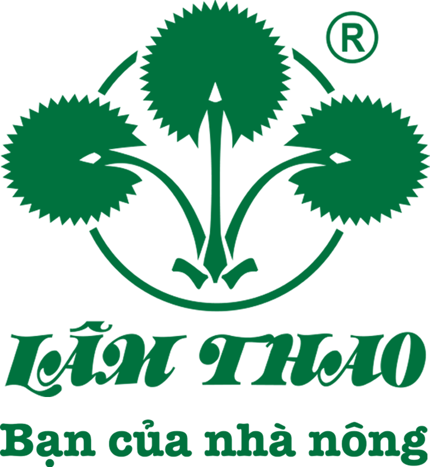 BÁO CÁO LAS THÁNG 05/2026