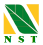BÁO CÁO NST THÁNG 05/2026